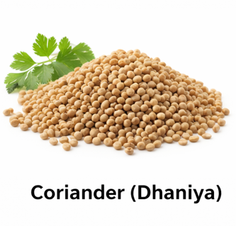 Coriander